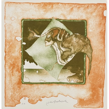 Situace (červený had)